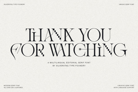 Amelie Fierce - Display Serif Font - Pixel Surplus