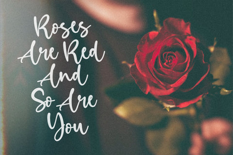 Birdlove is a Lovely Handwritten Font