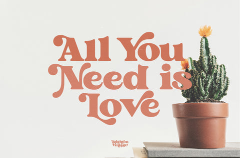 Brighton Vintage – 70s-Inspired Display Font with Bold Curves
