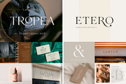 The Elegant Serif Font Bundle