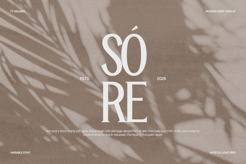 TT Galiner – Timeless Elegance Serif