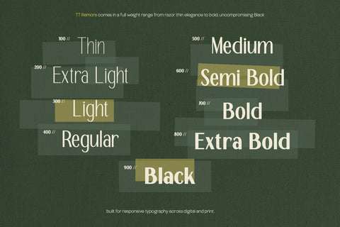 TT Remora – Modern Sans Display
