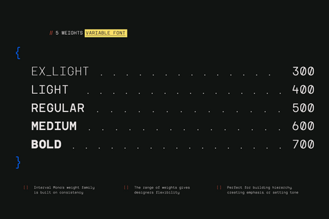 TRT Interval Mono Font