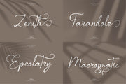 The Elegant Script Font Bundle