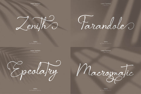 The Elegant Script Font Bundle