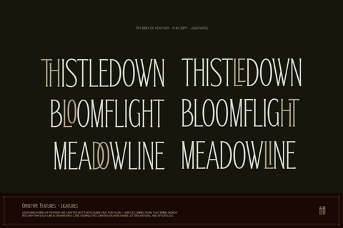 TRT Bird of Feather – Elegant Serif Typeface