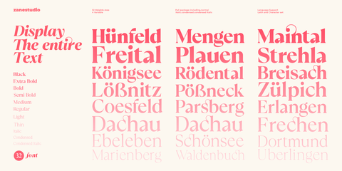 Callisen – Modern & Stylish Serif Font Family