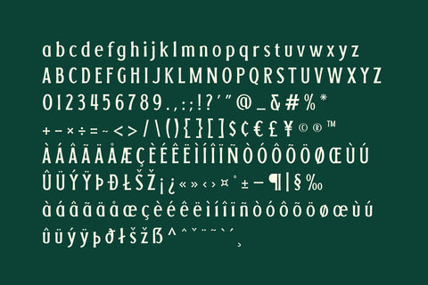 LEWISTON: A Serif Typeface