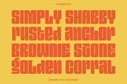 Entuista - Chunky Display Font
