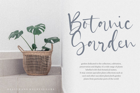 Castilla is a Beautiful Modern Handdrawn Font