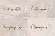 The Elegant Script Font Bundle