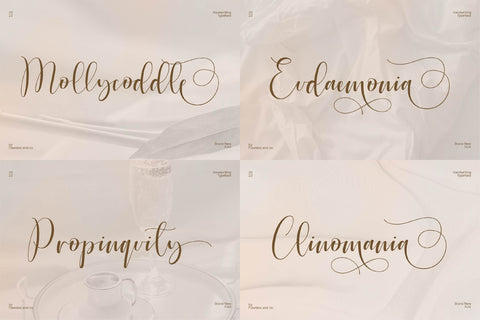 The Elegant Script Font Bundle