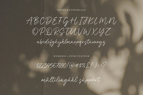 Black Forest Font