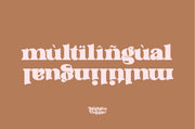 Brighton Vintage – 70s-Inspired Display Font with Bold Curves