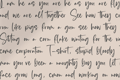 Blankside is a Modern Calligraphy Font