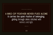 TRT Bird of Feather – Elegant Serif Typeface