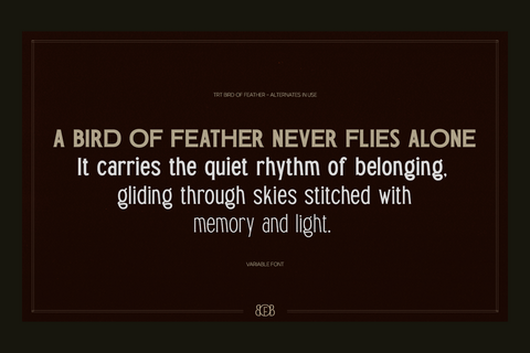 TRT Bird of Feather – Elegant Serif Typeface