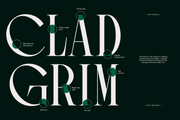 TRT Pachel – Luxury Editorial Serif Font