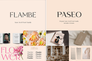 The Bestseller Sans Serif Bundle