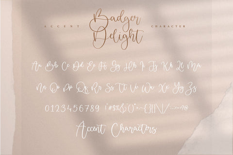 Badger Delight is a Modern Monoline Script Font