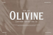 TT Galiner – Timeless Elegance Serif