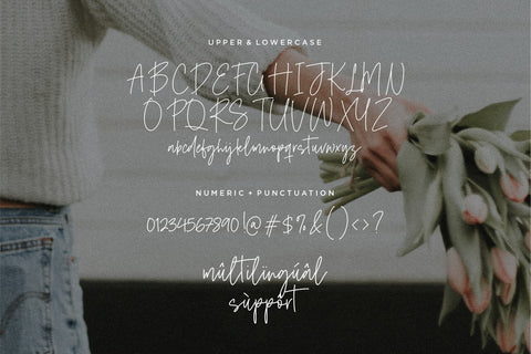 Midnight Wonders Font