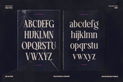 TT Montero Serif Condensed