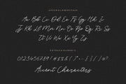 Blackswan is a Monoline Signature Font