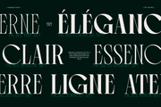 TRT Pachel  Luxury Editorial Serif Font