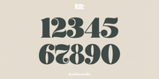 Ridie – Bold Display Serif