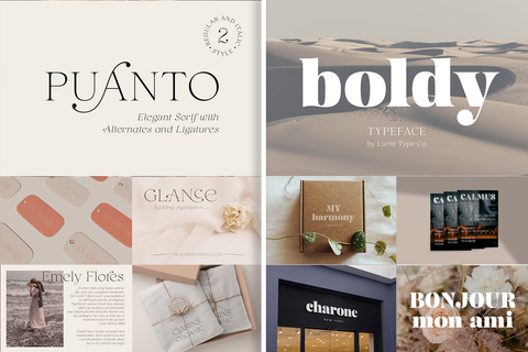 The Elegant Serif Font Bundle