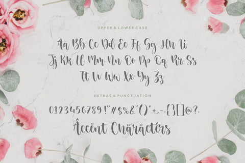 Sisterhood is an Elegant & Beautiful Script Font