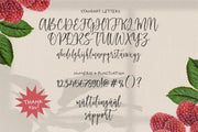 Raspberry Smash Font