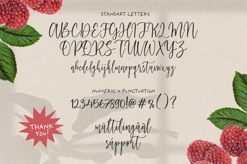 Raspberry Smash Font