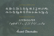 Silent Landfield is a Modern Calligraphy Font