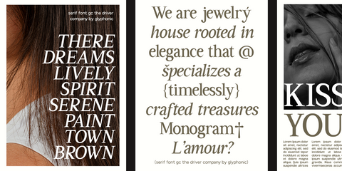 GC Driver Company - Serif Italic