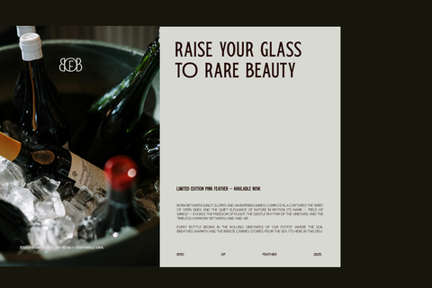 TRT Bird of Feather – Elegant Serif Typeface