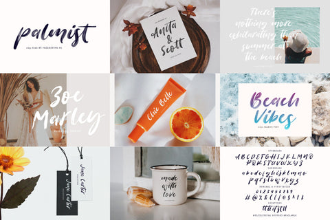 Script Font Collection Bundle