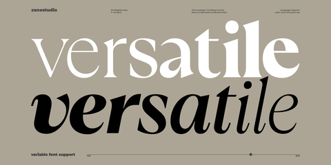 Callisen – Modern & Stylish Serif Font Family
