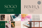 The Bestseller Sans Serif Bundle