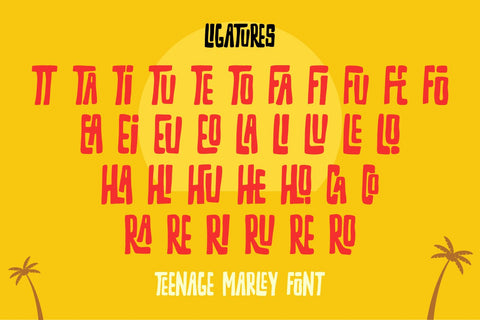 Teenage Marley Typeface Display Font
