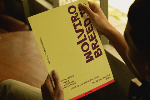 Myolin - Sans Serif Font