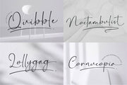 The Elegant Script Font Bundle