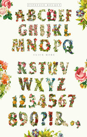 The SVG Fonts Display Bundle