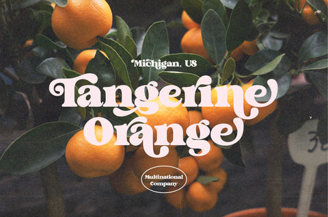 Brighton Vintage – 70s-Inspired Display Font with Bold Curves