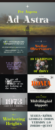 The Unique Serif Font Bundle