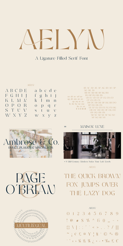 The Custom Ligature Collection