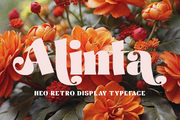 Alinta - Neo Retro Display Typeface