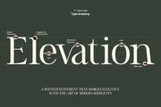 TT Vermolin — Modern Classy Serif