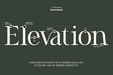 TT Vermolin — Modern Classy Serif